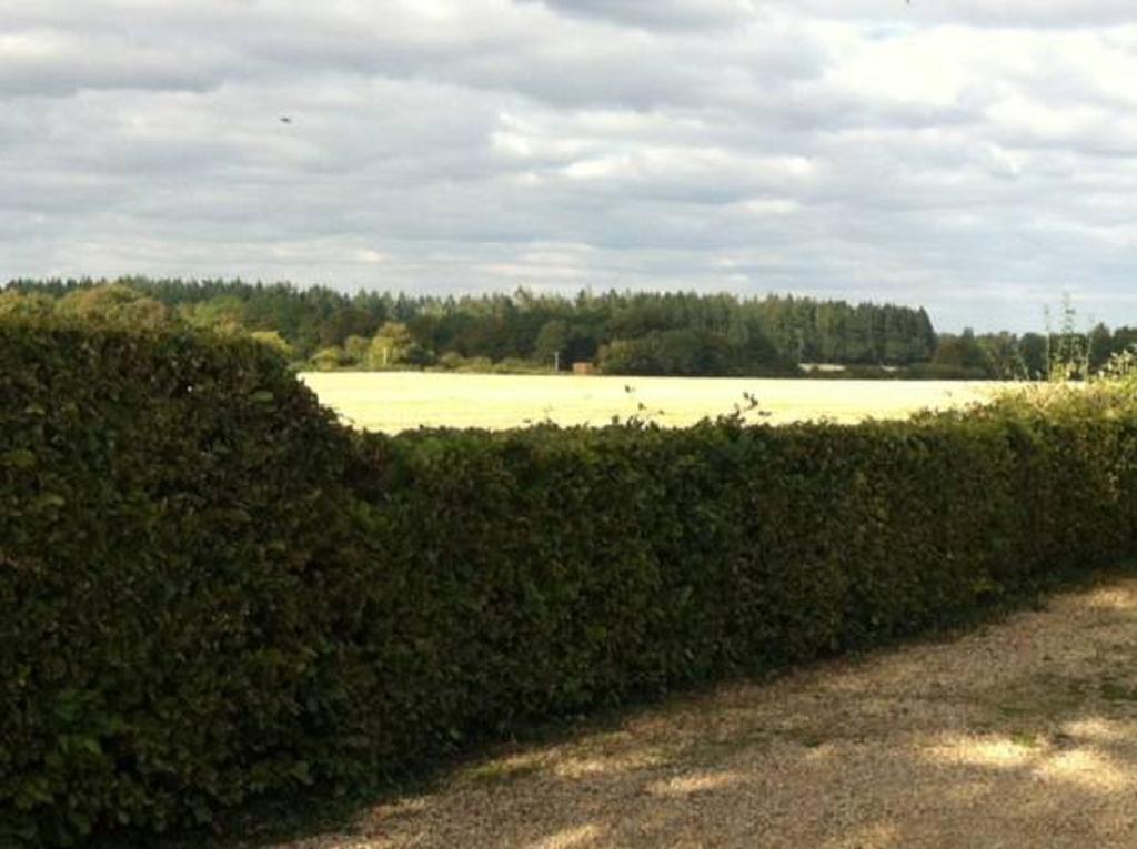 Gunville House B&B Grateley Eksteriør billede